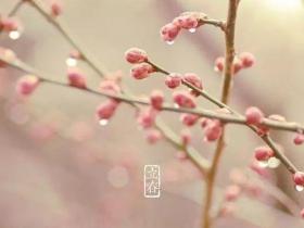 今日立春│戒骄戒躁 莫负韶光