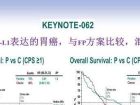 胃癌:采用PD-1抗体免疫治疗替代传统化疗?