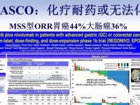 新趋势:抗血管生成靶向治疗+PD-1抗体免疫治疗