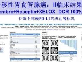 高疗效:Her-2阳性胃癌三种药物联合使用缓解率89%