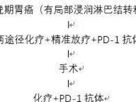 胃癌(病灶无法切除)的同步放化疗/PD-1抗体,为手术创造条件