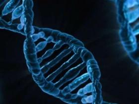 肺癌的驱动基因与靶向药物为精准医疗树立了成功样板:还有更多的期待