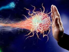 肿瘤疫苗之针对辅助性T细胞的策略