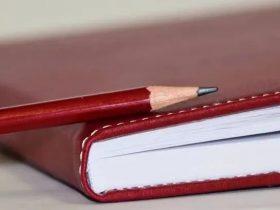 2022文献速递:瘤内注射减毒沙门氏菌:一种抑制神经鞘瘤生长的新策略