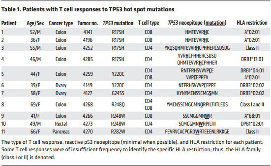 从TP53新抗原的筛选浅谈共享新抗原的临床应用潜力