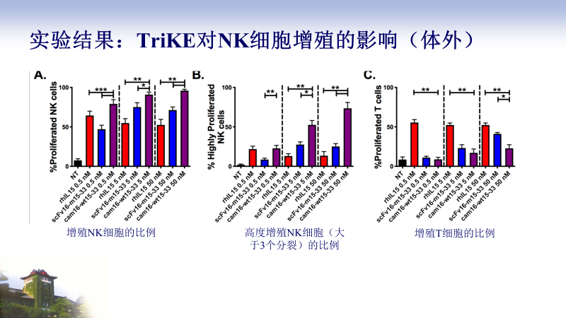 免疫治疗新策略：三臂抗体让NK细胞具有靶向杀伤肿瘤的特性