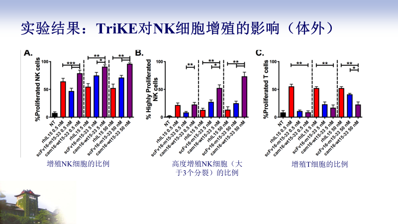 免疫治疗新策略:三臂抗体让NK细胞具有靶向杀伤肿瘤的特性 免疫治疗新策略:三臂抗体让NK细胞具有靶向杀伤肿瘤的特性
