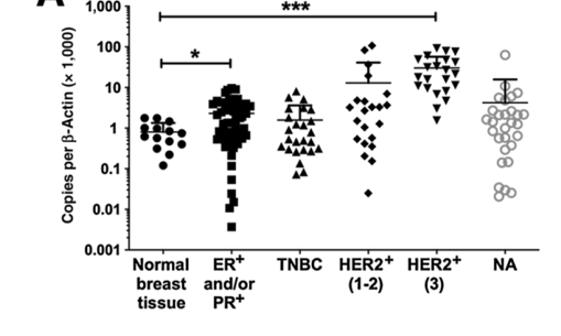 靶向HER2的疫苗联合αPD-1在转移性乳腺癌中的应用