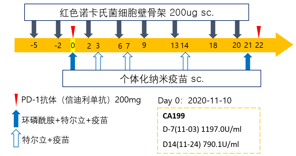 病例分享:晚期胰腺癌多线治疗后进展—新免疫整合治疗 病例分享:晚期胰腺癌多线治疗后进展—新免疫整合治疗