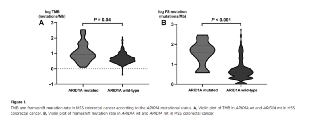 文献速递：ARID1A基因突变——微卫星稳定的结直肠癌中的免疫活跃亚群